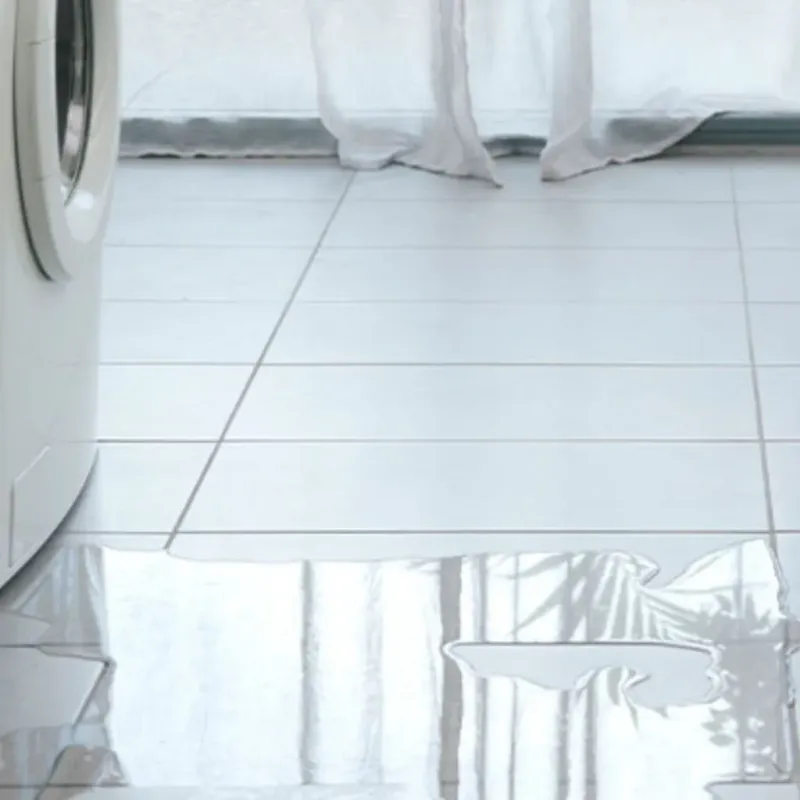 Appliance Leak Cleanup in Gervais, OR