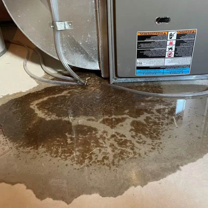 Pipe Burst and Leak Restoration in Gervais, OR