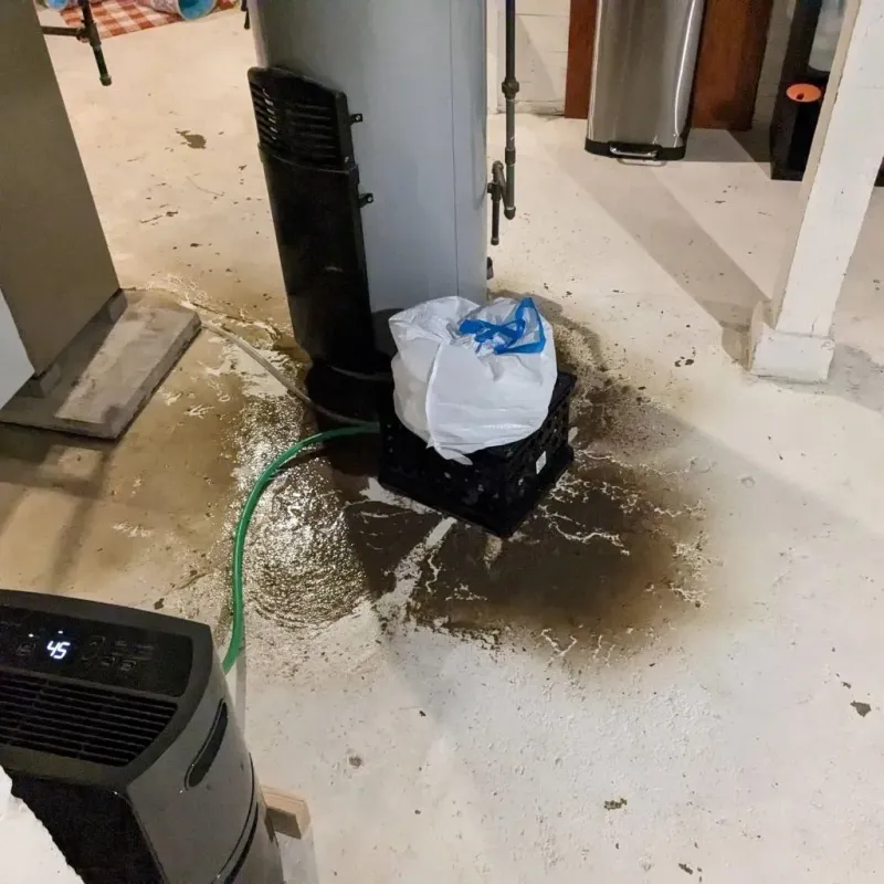 Sewage Backup Cleanup Service in Gervais, OR